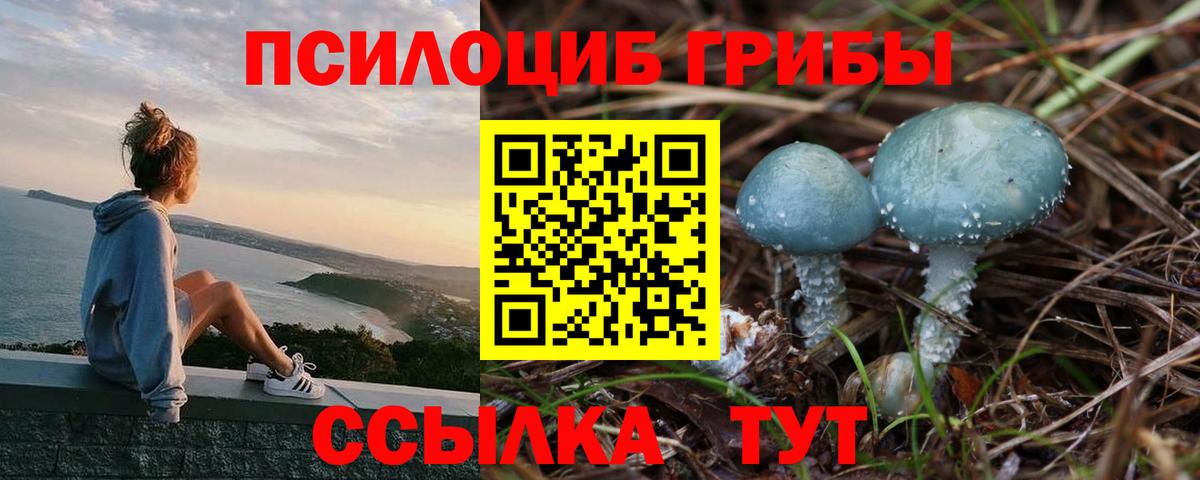 Псилоцибиновые грибы MAGIC MUSHROOMS Энгельс
